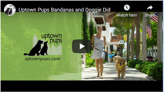 Uptown Pups Bandana and Doggie Did