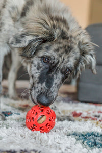 Interactive Dog Treat Ball