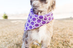 Load image into Gallery viewer, Purple Trellis Reversible Dog Bandana
