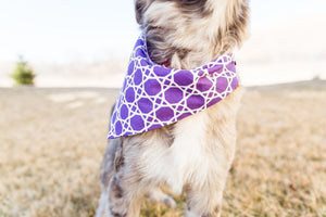 Purple Trellis Reversible Dog Bandana