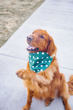 Load image into Gallery viewer, Dark Green Houndstooth Reversible Dog Bandana
