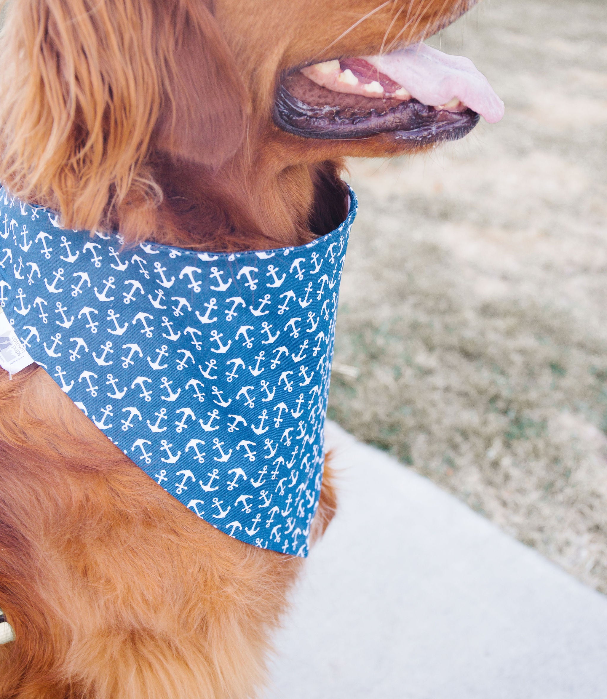 Navy Anchors Reversible Dog Bandana