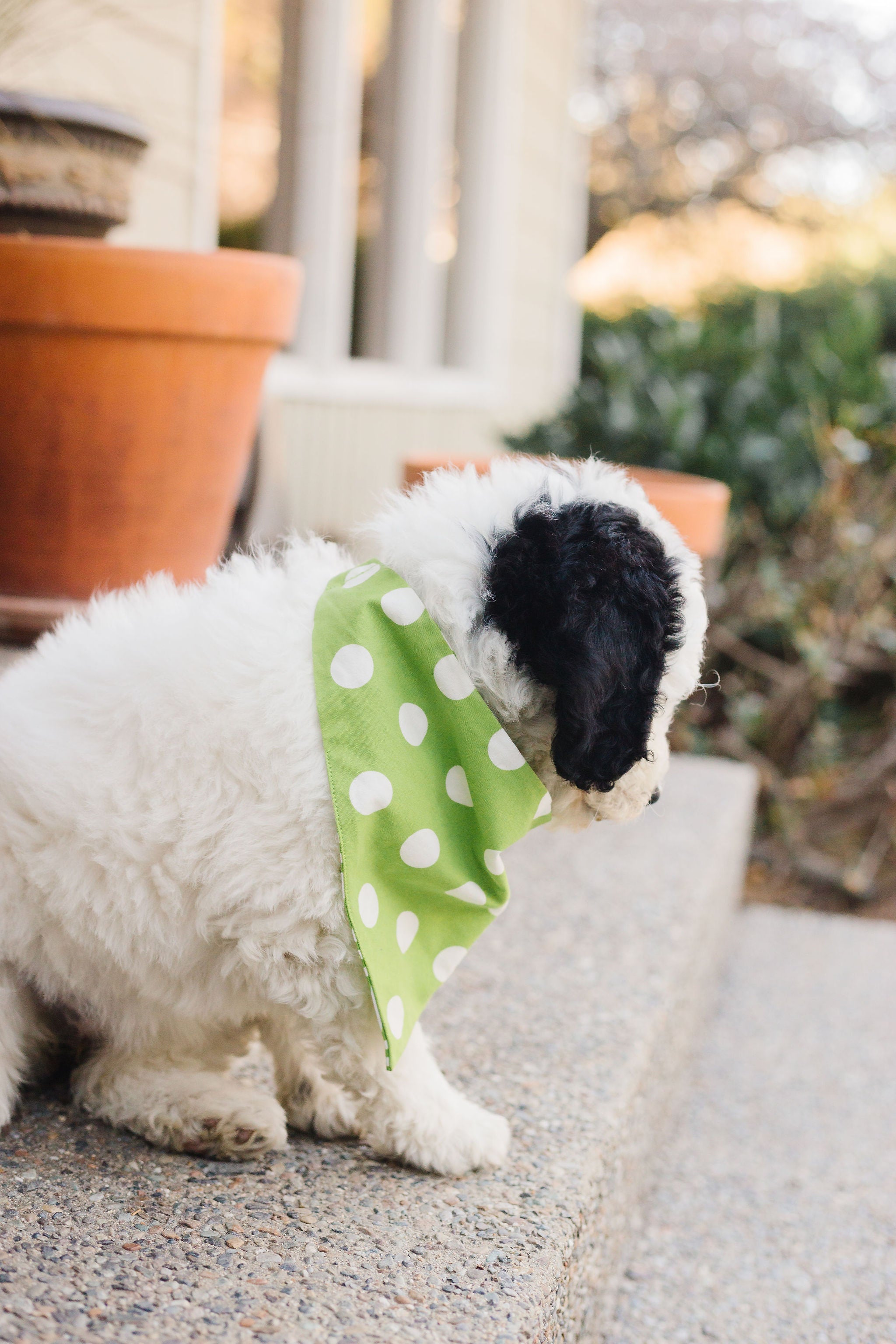 Lime Green Chevron Reversible Dog Bandana