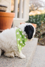 Load image into Gallery viewer, Lime Green Chevron Reversible Dog Bandana
