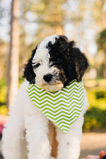 Load image into Gallery viewer, Lime Green Chevron Reversible Dog Bandana
