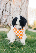 Load image into Gallery viewer, Orange Checkered Reversible Dog Bandana
