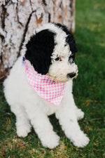 Load image into Gallery viewer, Baby Pink Houndstooth Reversible Dog Bandana
