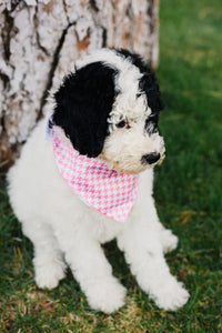 Baby Pink Houndstooth Reversible Dog Bandana