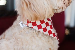 Red Checkered Reversible Dog Bandana